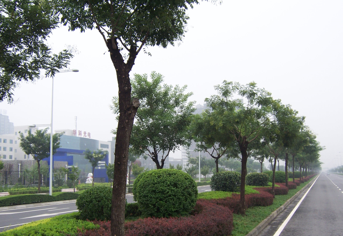錦業路工程項目